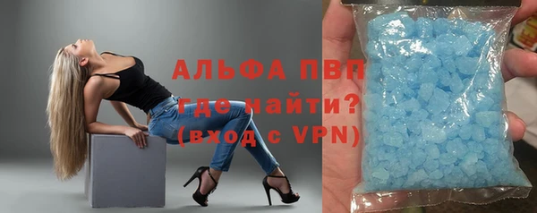 PSILOCYBIN Белокуриха