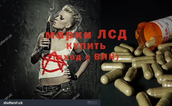 PSILOCYBIN Белокуриха