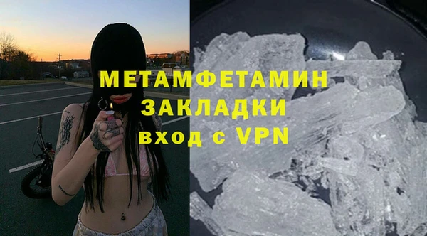 PSILOCYBIN Белокуриха