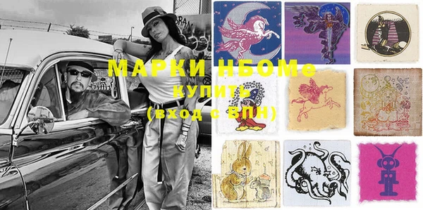 PSILOCYBIN Белокуриха