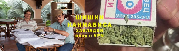 PSILOCYBIN Белокуриха